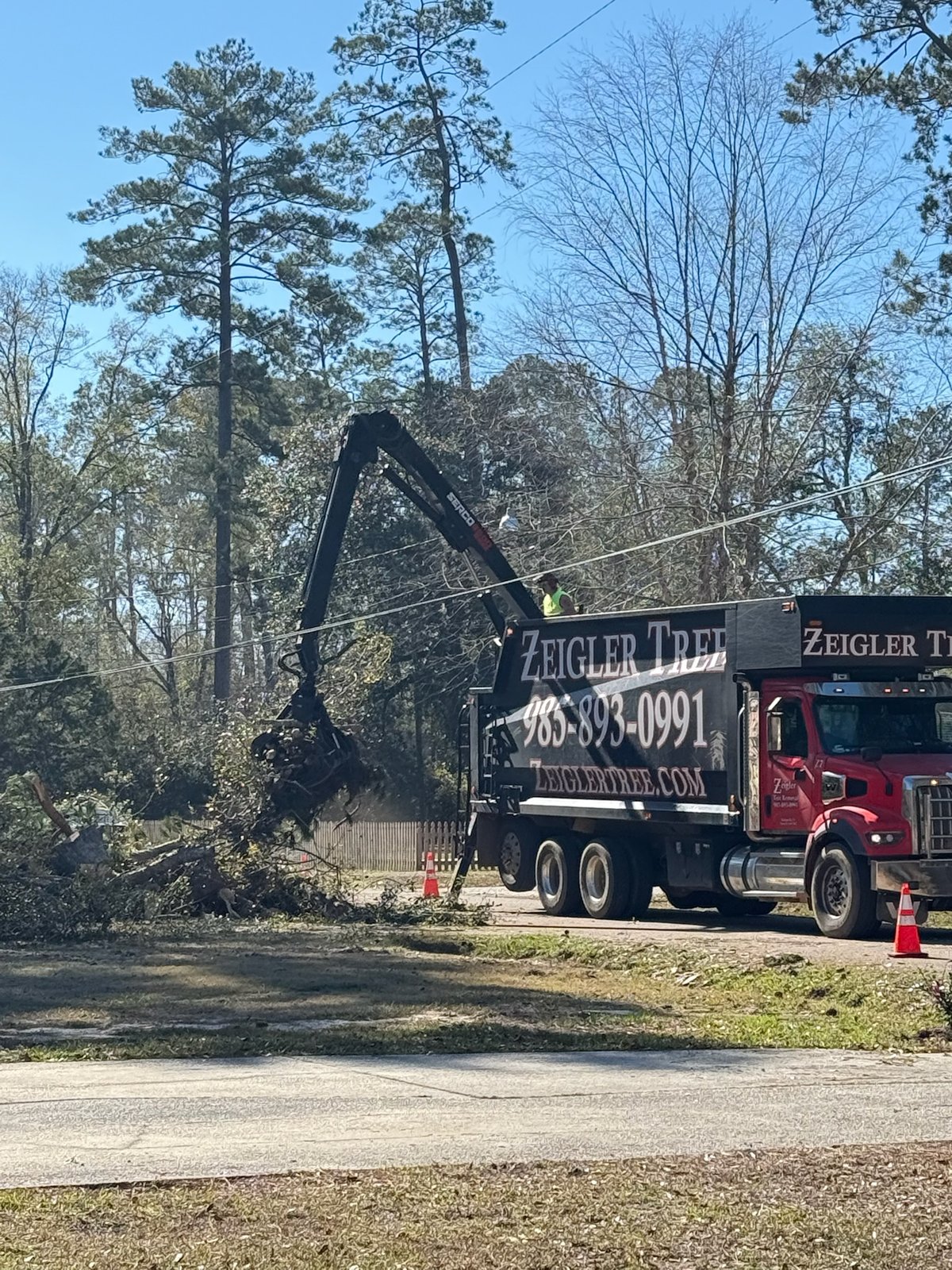 Grapple arm lifting cut branches into a dump truck