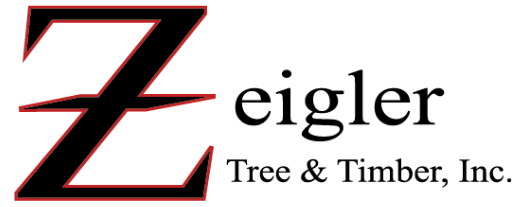 Zeigler Tree and Timber